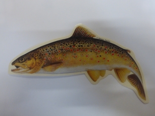 Sticker  Brown Trout small